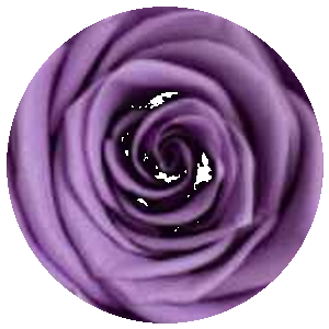 Violetto L