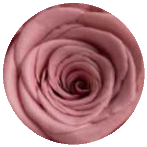 Rosso Anguria
