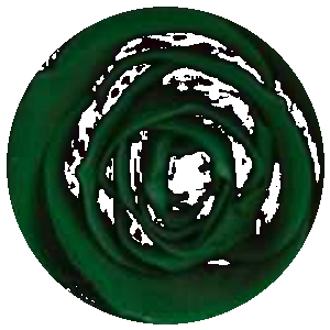 Verde Scuro