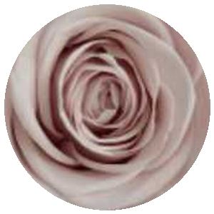 Rosa Card Y