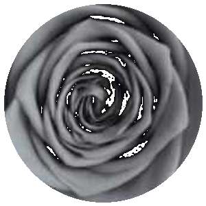 Violetto S